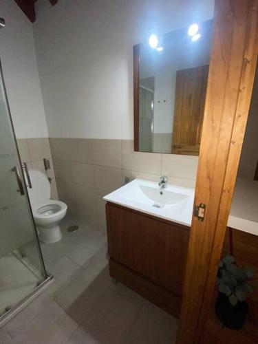 Un baño con inodoro, lavabo y espejo. en Gigantones, en Toledo