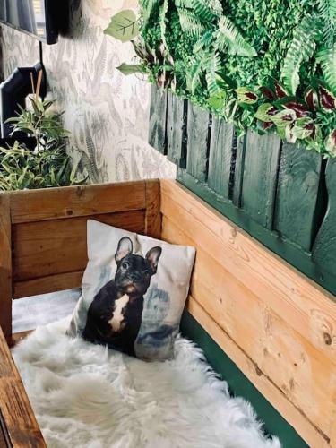 a small dog sitting on a pillow on at Chapter Two - Melbourne in Melbourne