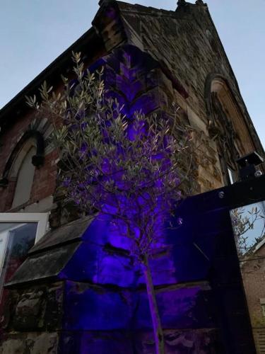 a purple tree in front of a building at Chapter Two - Melbourne in Melbourne