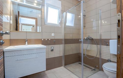 a bathroom with a shower and a sink and a toilet at Holiday home Tomislav for 12 guests near the beach in Vir