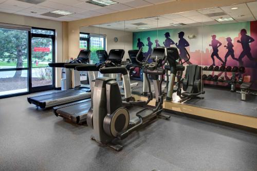 a gym with cardio machines and a wall mural at Oklahoma City Airport Hotel & Suites Meridian Ave in Oklahoma City