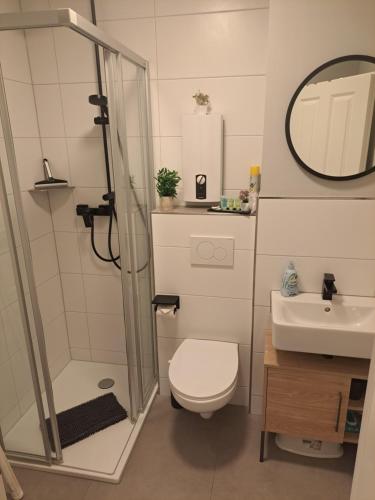 a bathroom with a shower and a toilet and a sink at Träumeria in Butjadingen