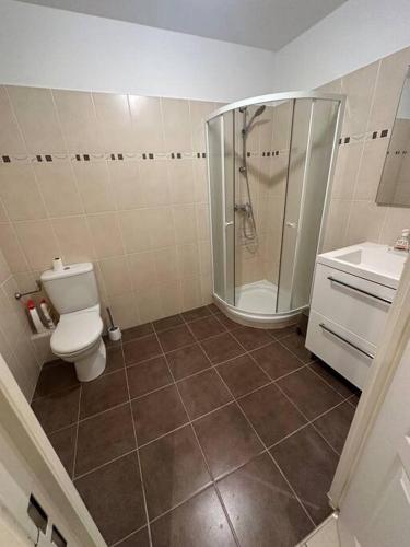 une salle de bain avec une douche, des toilettes et un lavabo dans l'établissement Studio, à Nice