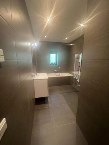 ein Badezimmer mit einem Waschbecken und einer Badewanne in der Unterkunft Luxe recreatiewoning midden in bosrijke omgeving in Waalre