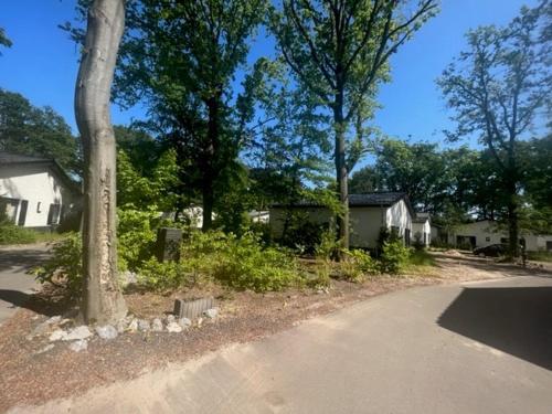 Taman di luar Luxe recreatiewoningen midden in bosrijke omgeving