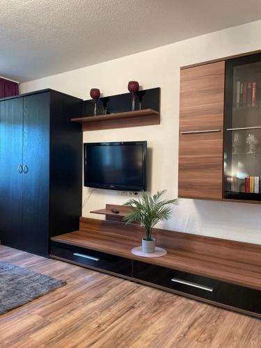a living room with a flat screen tv and wooden cabinets at Residenz am Kurpark - Ferienwohnungen in zentraler Lage I Privatparkplatz in Bad Rothenfelde