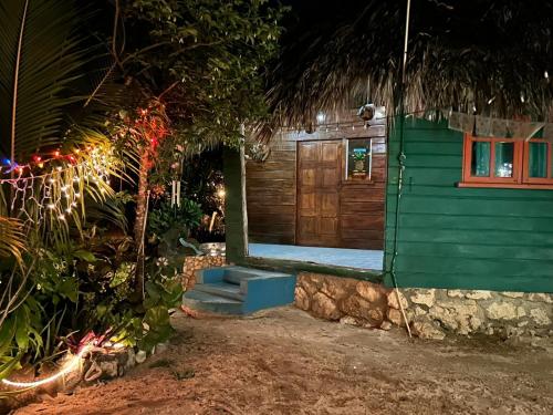 a green house with a porch with christmas lights at Little Bay Bungalow in Little Bay