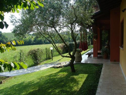 a tree sitting on the grass next to a house at B&B Sweet Dreams in Asolo