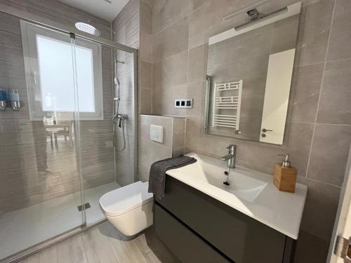 ein Bad mit einem Waschbecken, einem WC und einer Dusche in der Unterkunft Apartamento en pleno centro de Valladolid in Valladolid