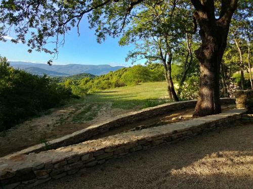 a tree sitting next to a stone wall with a view at Santonne in Apt