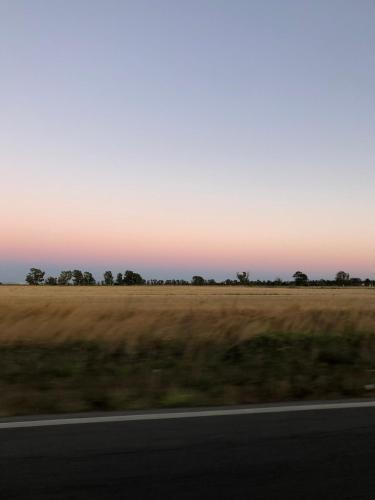 a view of a field from a highway at Casa Vacanze La Riserva Maccarese in Maccarese