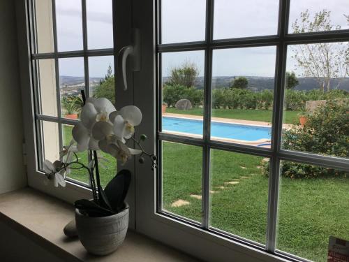 a window with a view of a swimming pool at The Garden Room in Bombarral