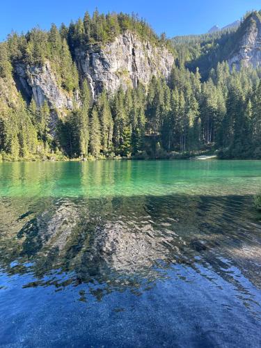a body of water with trees and a mountain at Val di Non Apartment in Cles