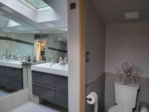 Koupelna v ubytování Anthropocene Jewel Cottage