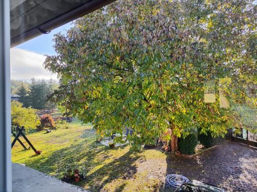 Zahrada ubytování Apartmány u koní