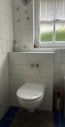 a white toilet in a bathroom with a window at Landhaus Ostermann in Umhausen