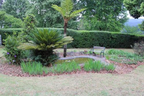 a bench in a garden with a palm tree at Green Acres Country House in Lidgetton