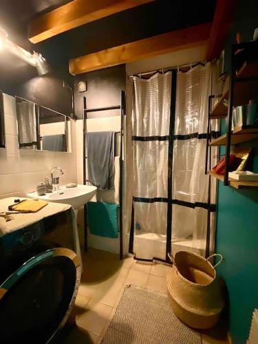 une salle de bain avec un lavabo, des toilettes et une douche dans l'établissement Duplex Arago au coeur de Sète, comme une petite maison, à Sète