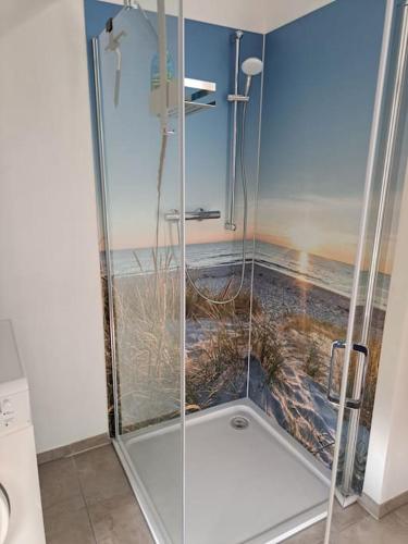 a shower with a glass door in a bathroom at Juliane`s Panorama-Domizil in Nemmersdorf in Goldkronach