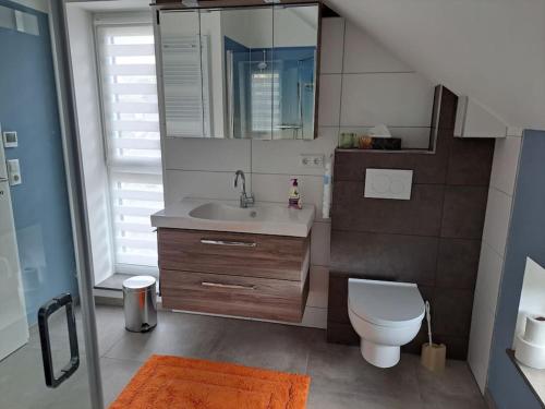 a bathroom with a sink and a toilet and a mirror at Juliane`s Panorama-Domizil in Nemmersdorf in Goldkronach