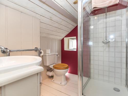 a bathroom with a toilet and a sink and a shower at Wdig Cottage - Qc1264 in St. Davids