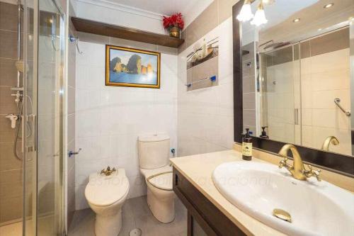 La salle de bains est pourvue de toilettes, d'un lavabo et d'une douche. dans l'établissement Dúplex Galiana, à Avilés