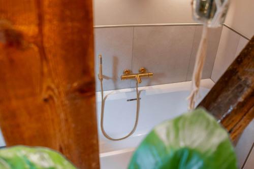 a shower in a bathroom with a hose at Boetiekhotel Faan in Ballum