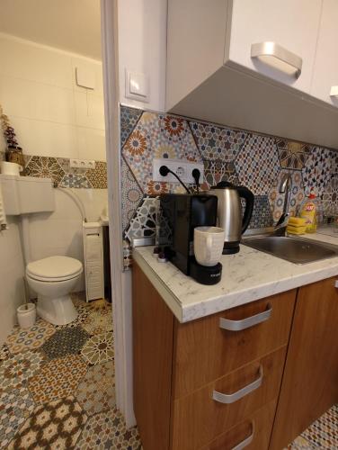 Una cocina o zona de cocina en Studio Catalin