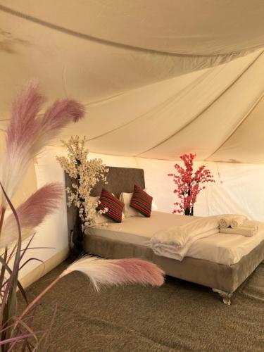 a bedroom with a bed in a tent at Dream Desert Camp 