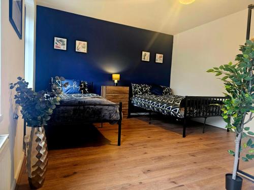 ダービーにあるHereford House - Welcome Short Staysの青い壁の客室で、ベッド2台が備わります。