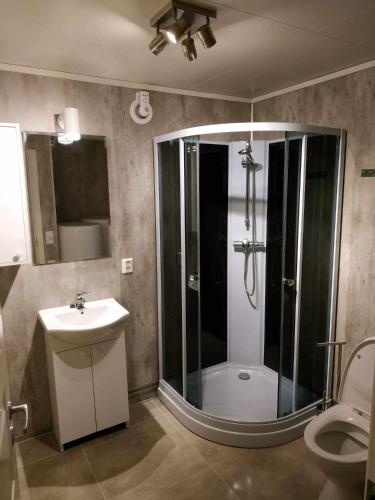 a bathroom with a shower and a toilet and a sink at apartament by the sea in Havøysund
