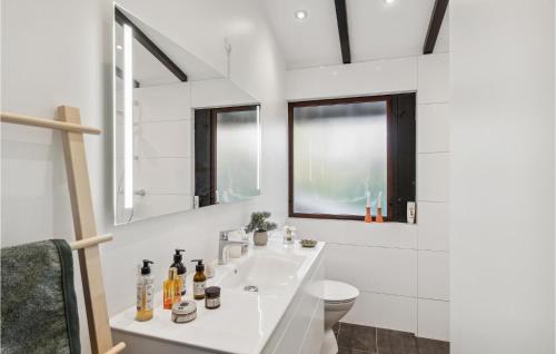 Baño blanco con lavabo y aseo en 3 Bedroom Gorgeous Home In Vejby, en Vejby