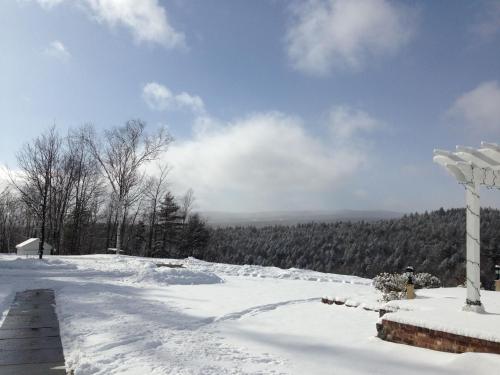 Adams Hill House Retreat - Artist-Architect's Estate, Newfane Vermont semasa musim sejuk