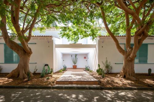 a courtyard with two trees in front of a building at Vivienda Vacacional Pasito Blanco 2 in Pasito Blanco