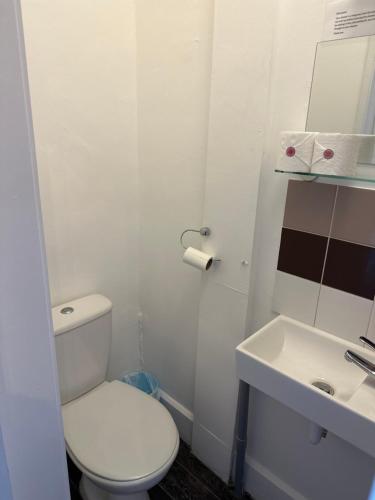 a white bathroom with a toilet and a sink at Waverley Inn in Newport