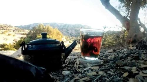 a glass of tea sitting next to a tea kettle at Dana Rose camp outdoor camping in Dana