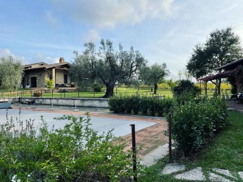 a yard with a house and some bushes and trees at Agriturismo Eco-Bio Villa Vacasio in Pitigliano