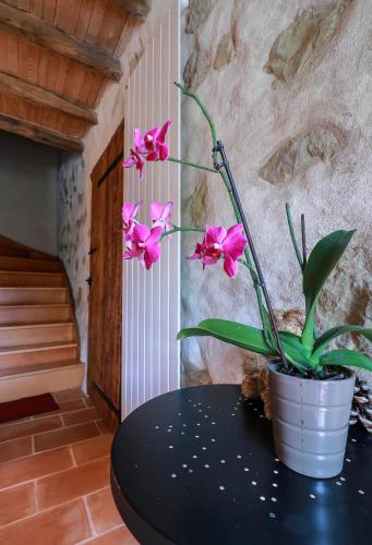 a vase with pink flowers sitting on a table at Gites Souleilla de la Nine in Canens