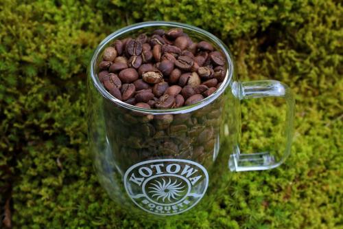 a glass cup filled with coffee beans sitting on grass at TREE TREK BOQUETE Adventure Park in Boquete