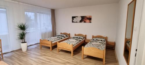 a room with four beds and a potted plant at Ubytovanie FUNSTAR Topoľčany in Topoľčany