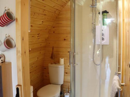 a bathroom with a toilet and a shower at Barley Hill Pod in Broadway