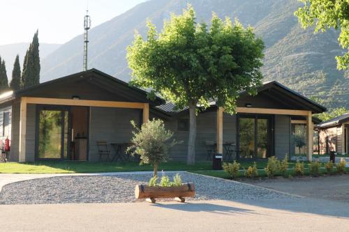 a house with a tree in front of it at Càmping Organyà Park in Organyà