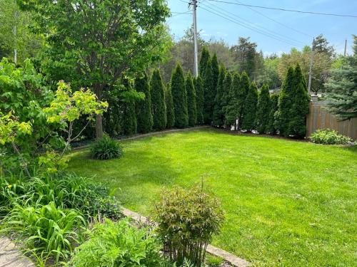 a yard with a row of trees and green grass at Waterfront cozy cottage. in Port Perry
