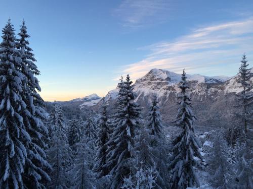 een groep bomen bedekt met sneeuw met een berg op de achtergrond bij Chalet Krystal in Les Carroz d'Araches