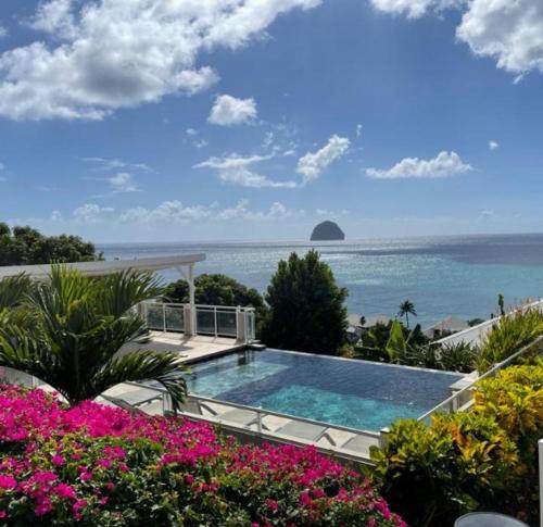 a swimming pool with a view of the ocean at Eleven Studio Moderne et Chic au Diamant Martinique in Le Diamant