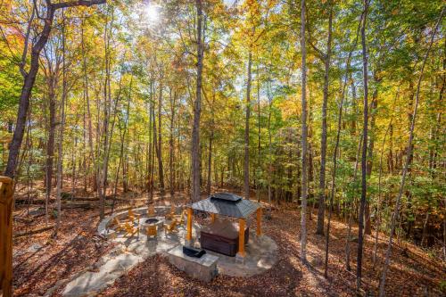 an aerial view of a fireplace in the middle of a forest at Brewer Hollow in Lake Lure