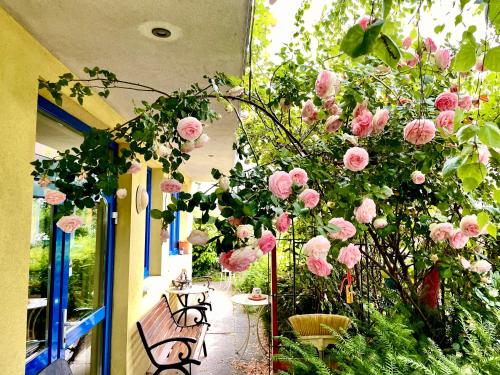 維也納的住宿－Gästezimmer Rothneusiedl，花园,门廊上摆放着粉红色玫瑰和长椅