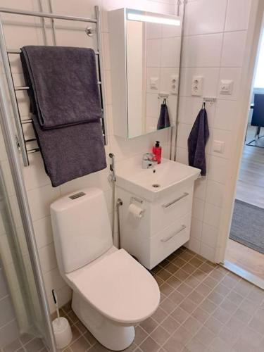 a bathroom with a white toilet and a sink at Seaside apartment in Rauma