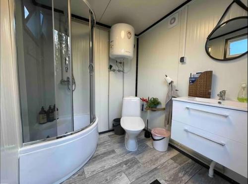 a bathroom with a shower and a toilet and a sink at Northern Light Cabin with sauna by Torneriver in Kiruna