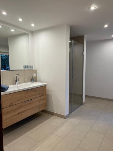 La salle de bains est pourvue d'un lavabo et d'une douche. dans l'établissement Home of gmiatlich - Ferien & Wohnen auf Zeit, à Mühldorf